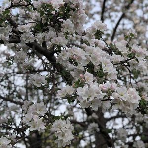 Meet your Posher, Joanna